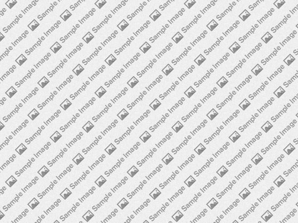 Responsive Layout